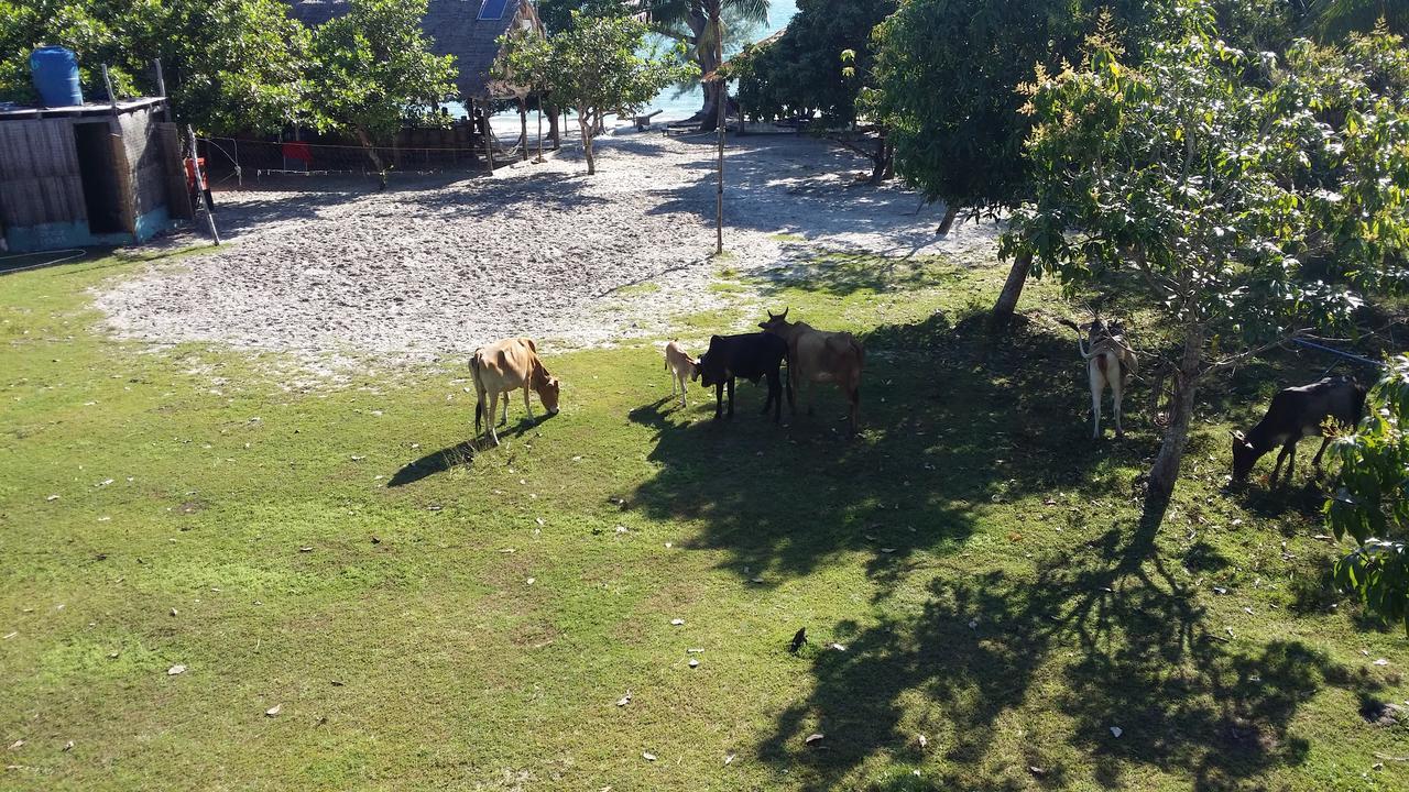 The Last Point Hostel Koh Ta Kiev Ngoại thất bức ảnh